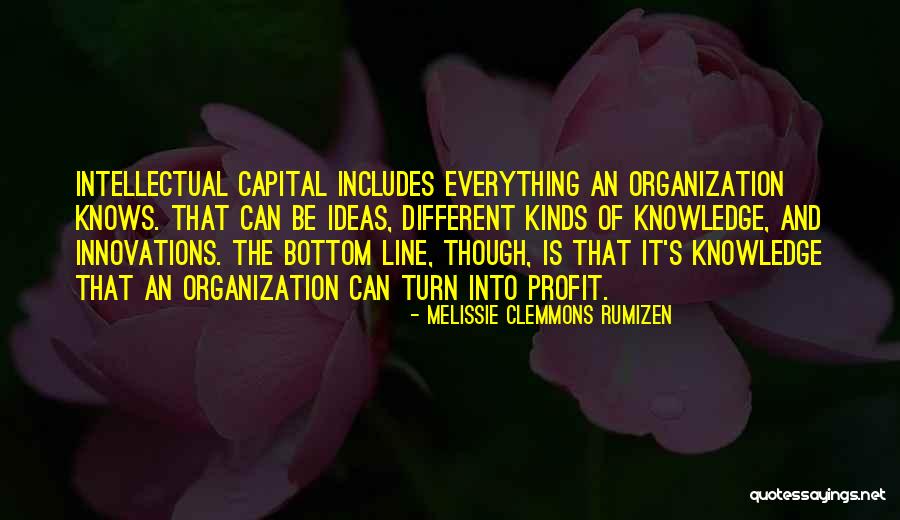 Non Profit Organization Quotes By Melissie Clemmons Rumizen