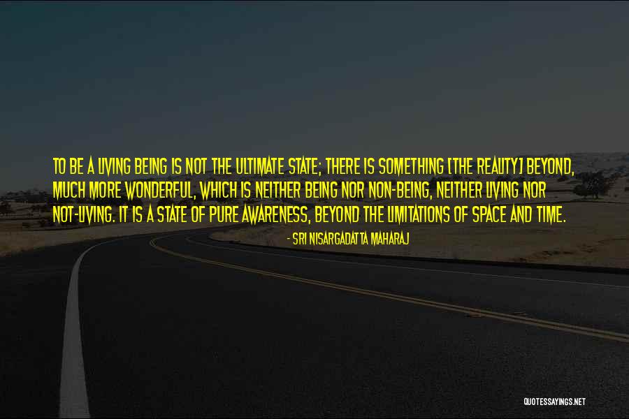 Non Reality Quotes By Sri Nisargadatta Maharaj Non Reality Quotes By Sri Nisargadatta Maharaj