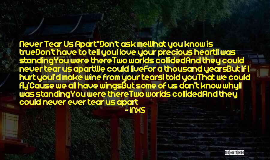 Non Recognition Fallacy Quotes By INXS Non Recognition Fallacy Quotes By INXS