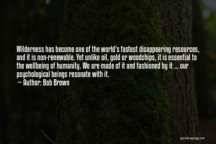 Non Renewable Resources Quotes By Bob Brown