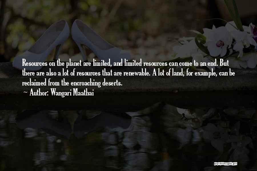 Non Renewable Resources Quotes By Wangari Maathai