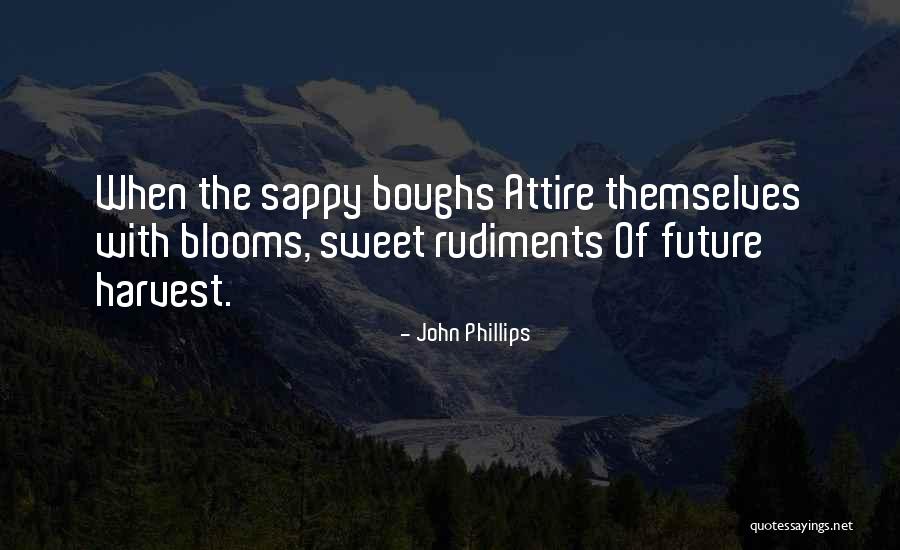 Non Sappy Quotes By John Phillips Non Sappy Quotes By John Phillips