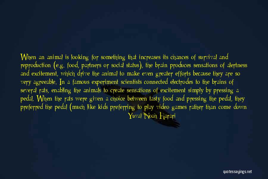 Non Scientists For Kids Quotes By Yuval Noah Harari Non Scientists For Kids Quotes By Yuval Noah Harari