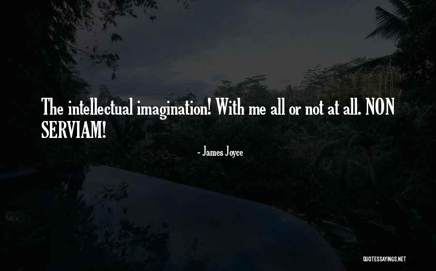 Non Serviam Quotes By James Joyce Non Serviam Quotes By James Joyce