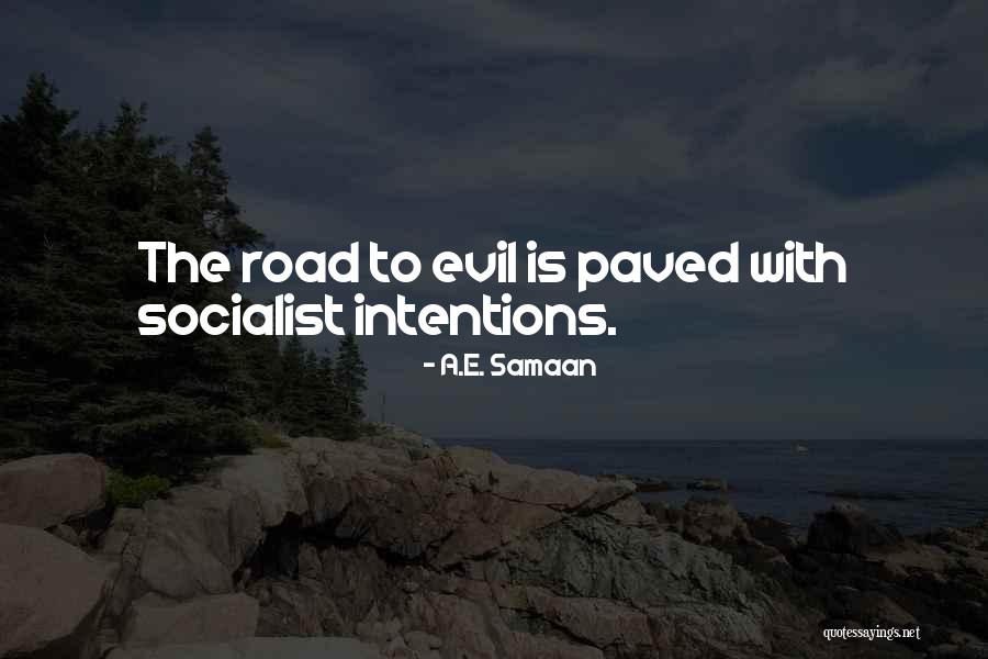 Non Socialist Government Quotes By A.E. Samaan Non Socialist Government Quotes By A.E. Samaan