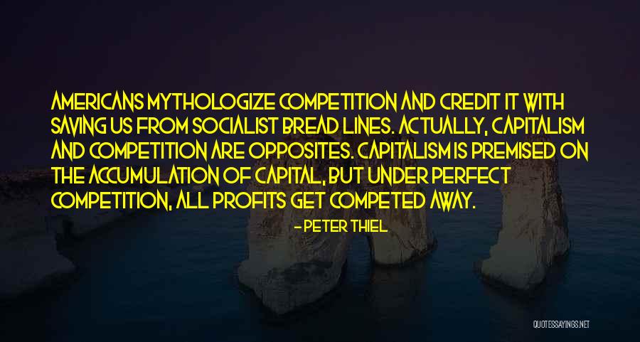 Non Socialist Quotes By Peter Thiel Non Socialist Quotes By Peter Thiel