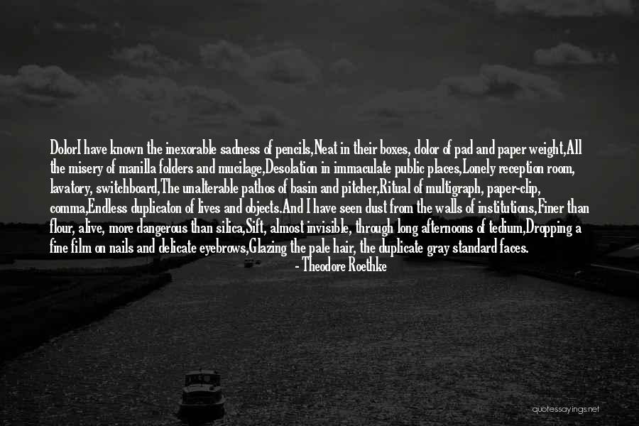 Non Standard Quotes By Theodore Roethke Non Standard Quotes By Theodore Roethke