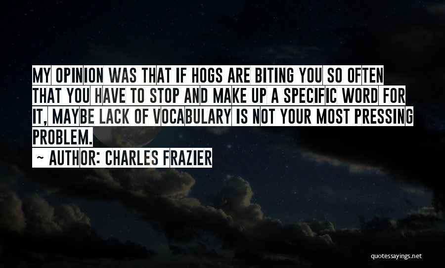 Non Stop Problem Quotes By Charles Frazier