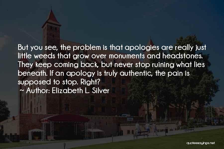 Non Stop Problem Quotes By Elizabeth L. Silver