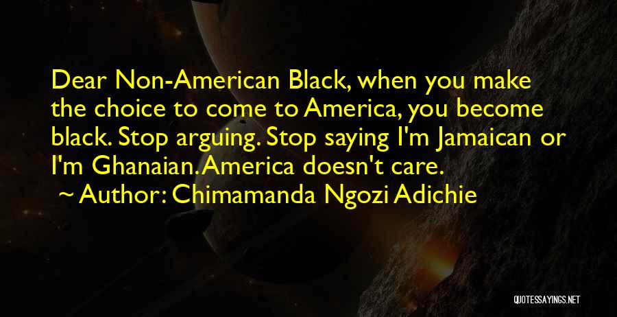 Non Stop Quotes By Chimamanda Ngozi Adichie