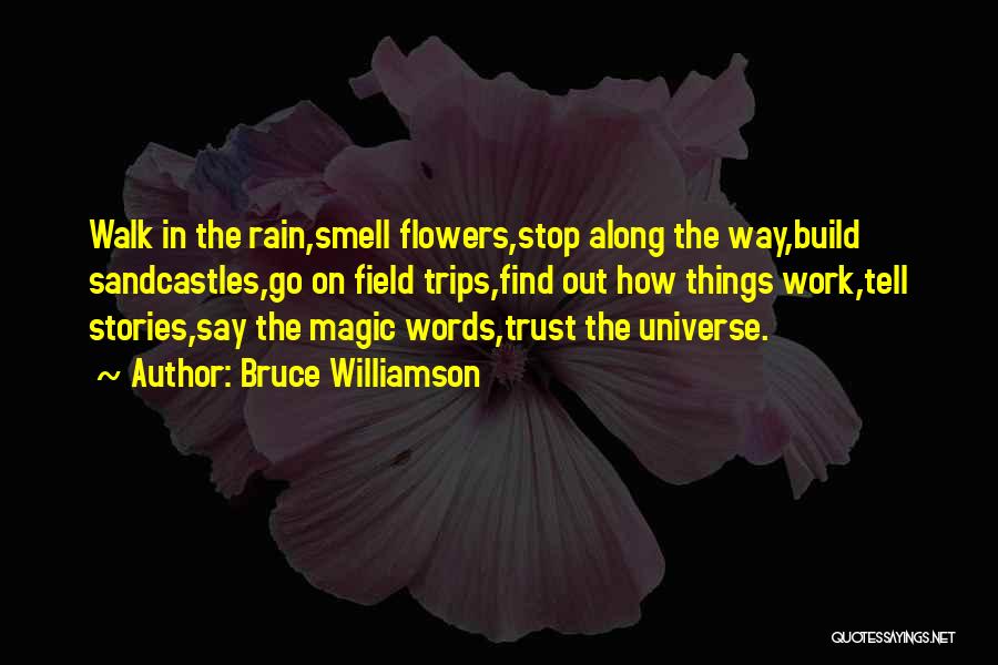 Non Stop Rain Quotes By Bruce Williamson