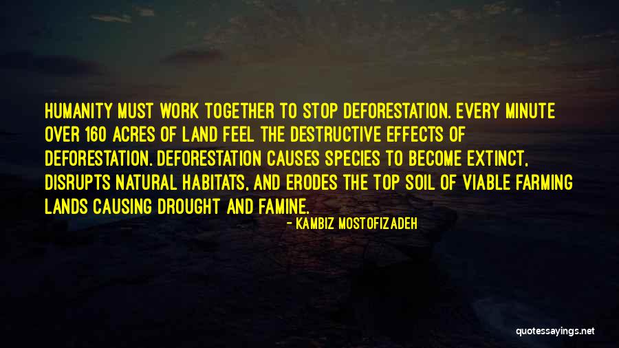 Non Stop Work Quotes By Kambiz Mostofizadeh