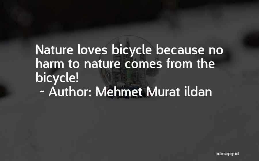 Non Ti Muovere Quotes By Mehmet Murat Ildan