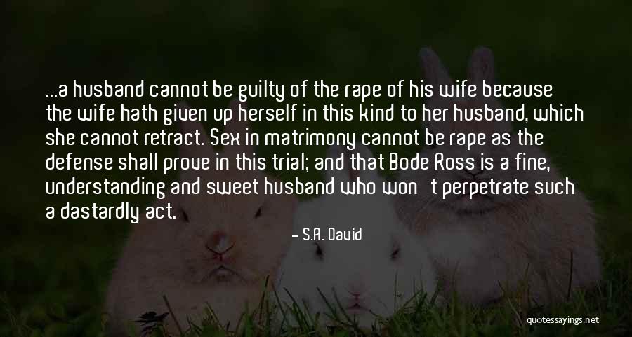 Non Understanding Husband Quotes By S.A. David Non Understanding Husband Quotes By S.A. David