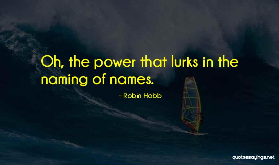Non Understanding Synonym Quotes By Robin Hobb Non Understanding Synonym Quotes By Robin Hobb