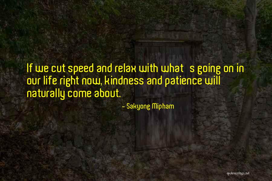 Non Working Refrigerator Quotes By Sakyong Mipham Non Working Refrigerator Quotes By Sakyong Mipham