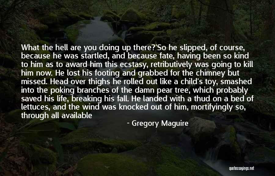 Nonarticular Quotes By Gregory Maguire Nonarticular Quotes By Gregory Maguire
