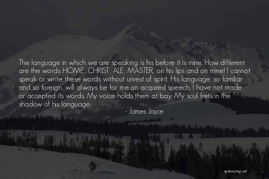 Nonarticular Quotes By James Joyce Nonarticular Quotes By James Joyce
