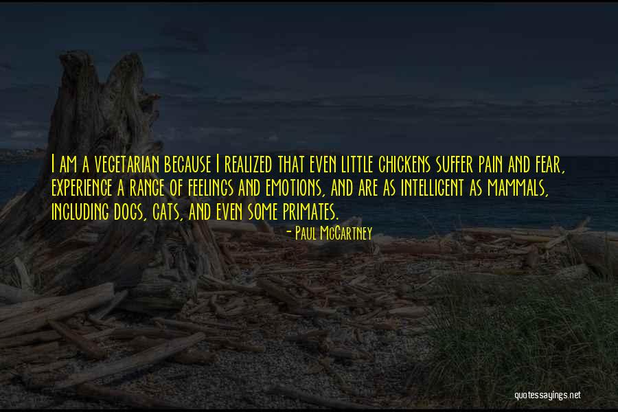 Nonbei Quotes By Paul McCartney Nonbei Quotes By Paul McCartney