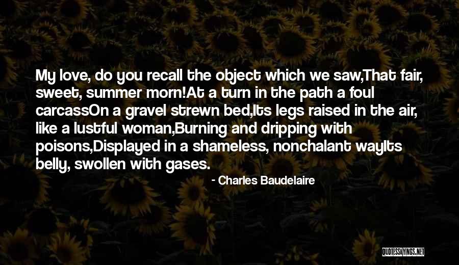 Nonchalant Love Quotes By Charles Baudelaire Nonchalant Love Quotes By Charles Baudelaire