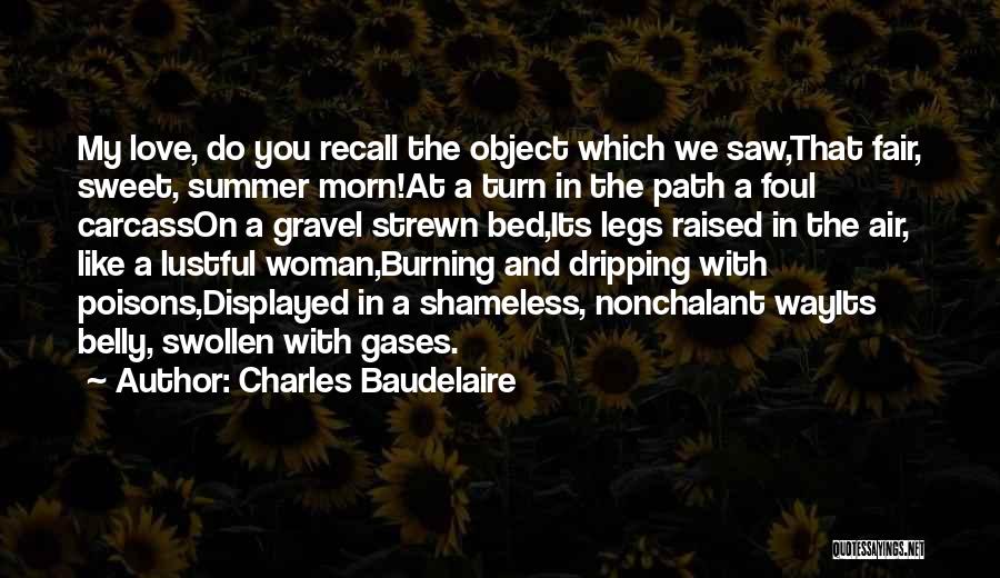 Nonchalant Quotes By Charles Baudelaire