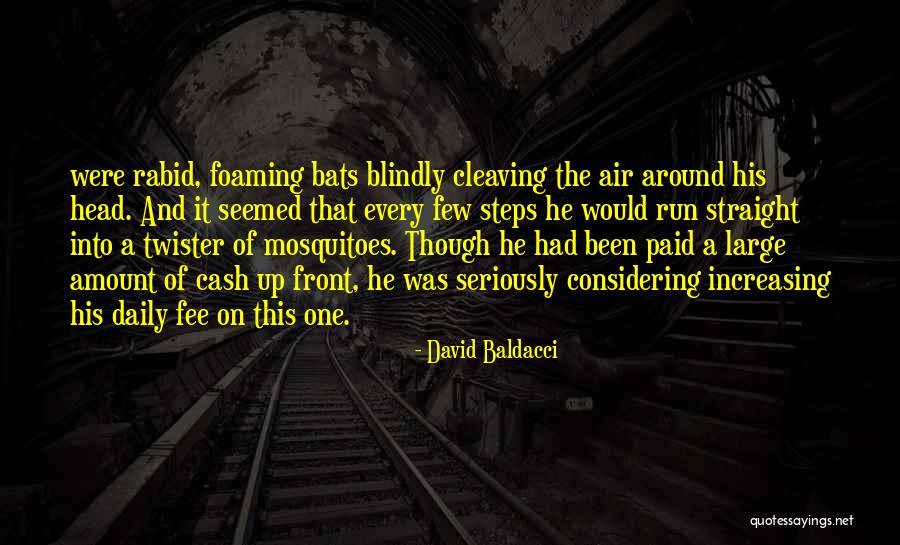 Noncoding And Coding Quotes By David Baldacci