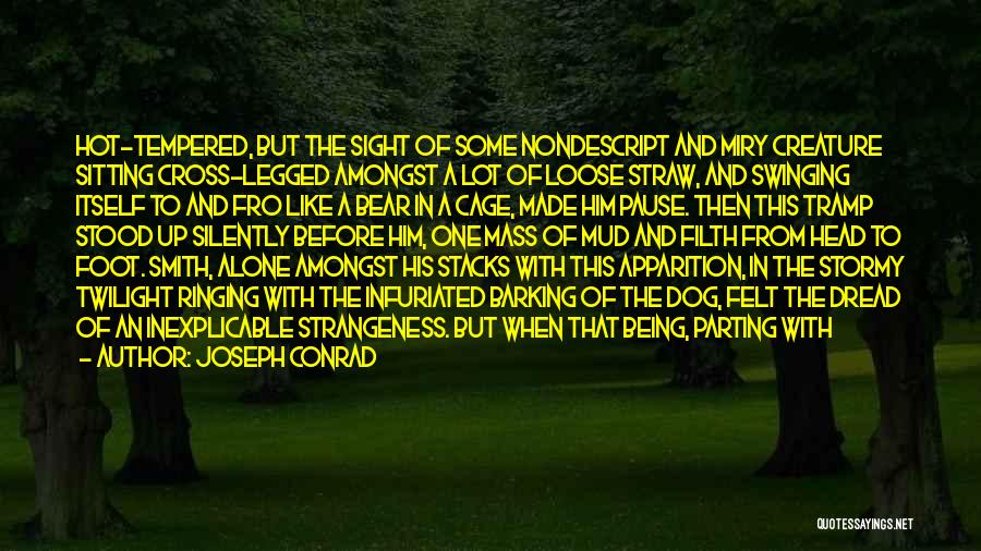 Nondescript Quotes By Joseph Conrad