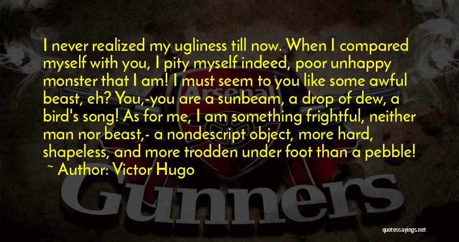 Nondescript Quotes By Victor Hugo