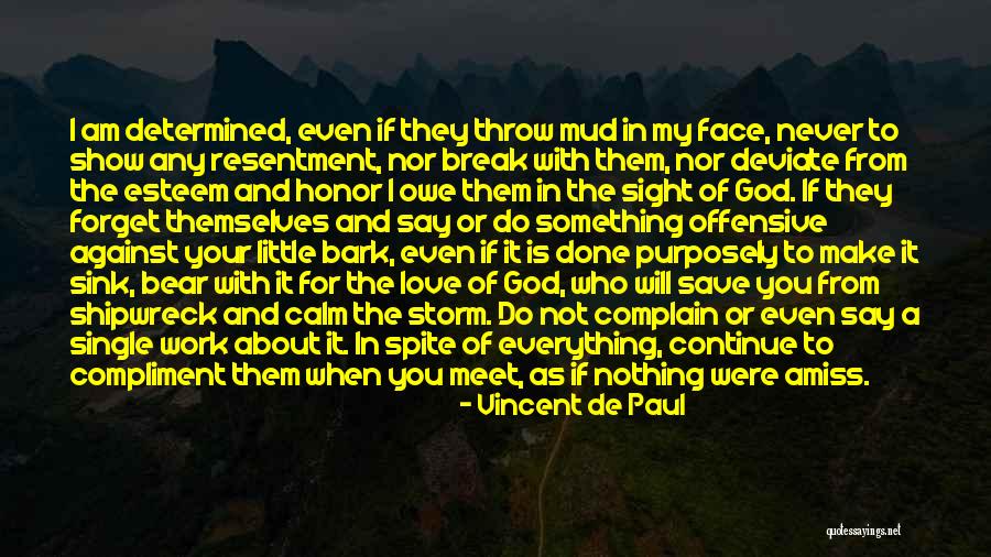 Nonduality Teachers Quotes By Vincent De Paul Nonduality Teachers Quotes By Vincent De Paul