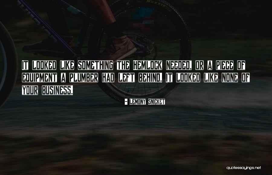 None Of Your Business Quotes By Lemony Snicket None Of Your Business Quotes By Lemony Snicket