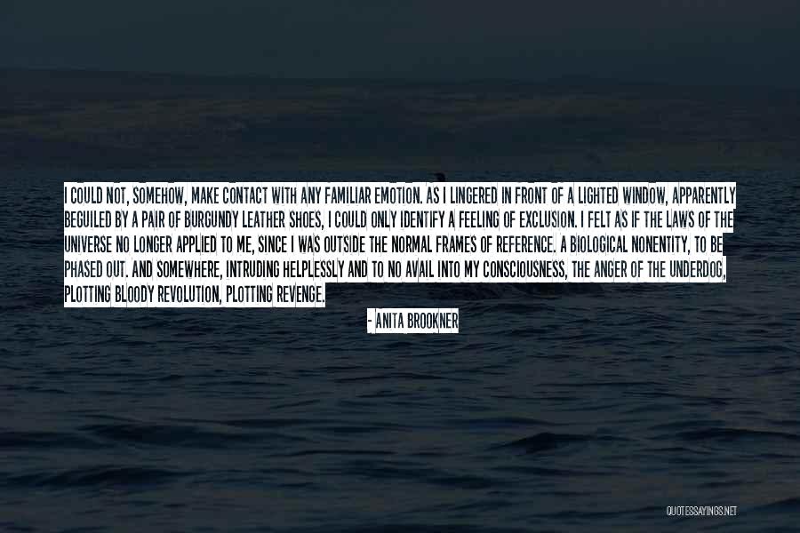 Nonentity Quotes By Anita Brookner Nonentity Quotes By Anita Brookner
