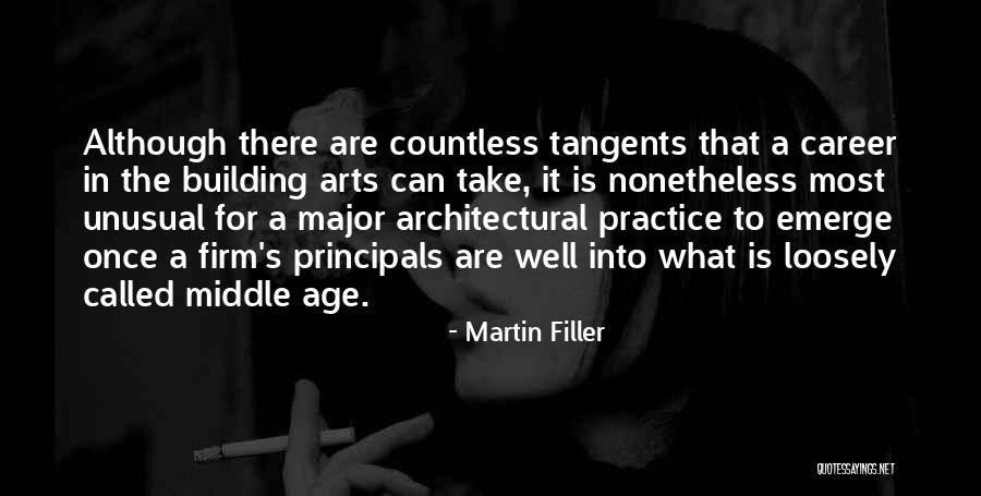 Nonetheless Quotes By Martin Filler