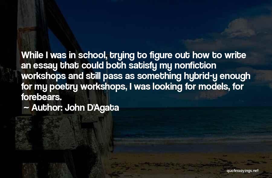 Nonfiction Quotes By John D'Agata
