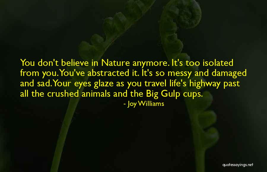 Nongovernment Quotes By Joy Williams Nongovernment Quotes By Joy Williams