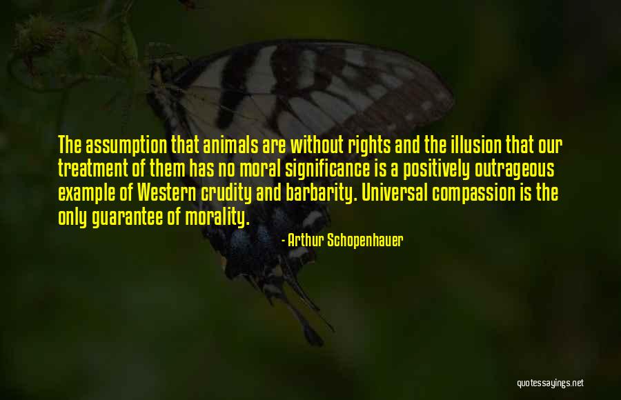 Nonindigenous Insects Quotes By Arthur Schopenhauer Nonindigenous Insects Quotes By Arthur Schopenhauer