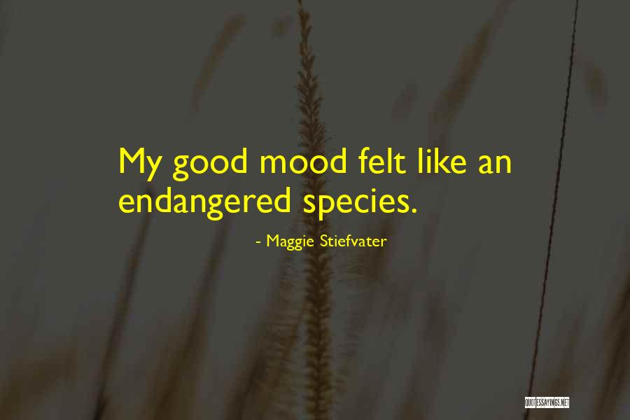 Nonlocality And Entanglement Quotes By Maggie Stiefvater Nonlocality And Entanglement Quotes By Maggie Stiefvater