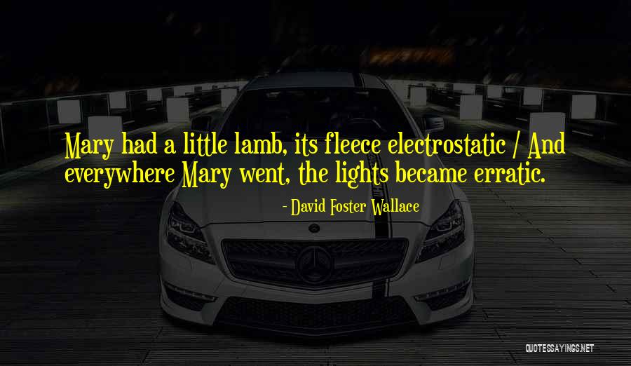 Nonmetallic Conductivity Quotes By David Foster Wallace Nonmetallic Conductivity Quotes By David Foster Wallace
