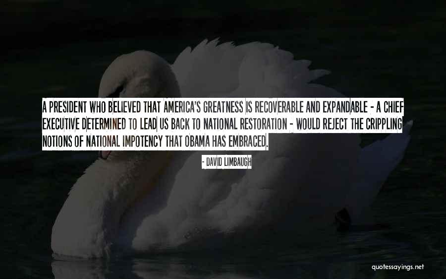 Nonnis Thinaddictives Quotes By David Limbaugh Nonnis Thinaddictives Quotes By David Limbaugh