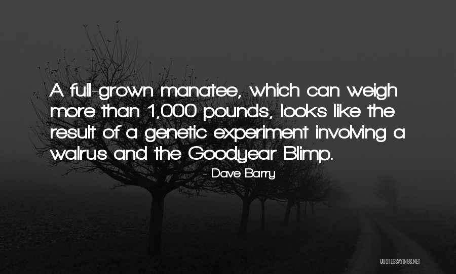 Nonsectarianism Quotes By Dave Barry Nonsectarianism Quotes By Dave Barry