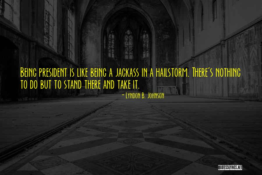 Nonsensical Synonym Quotes By Lyndon B. Johnson Nonsensical Synonym Quotes By Lyndon B. Johnson
