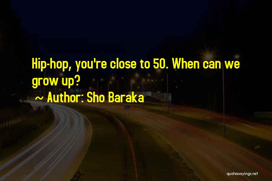 Nontrivial Solution Quotes By Sho Baraka
