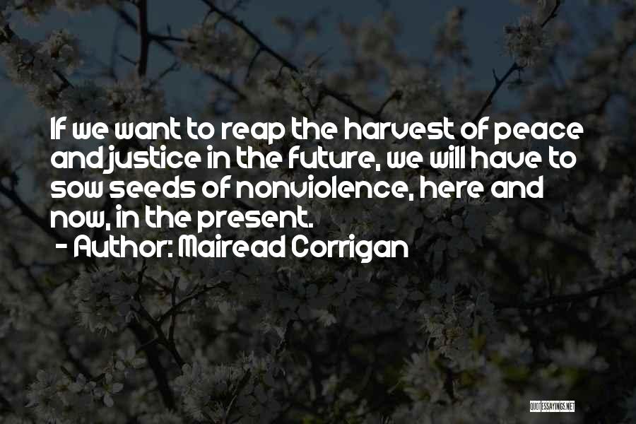 Nonviolence And Peace Quotes By Mairead Corrigan