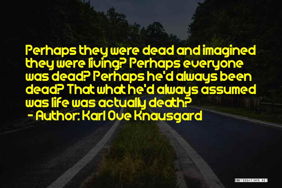 Nooney And Roberts Quotes By Karl Ove Knausgard