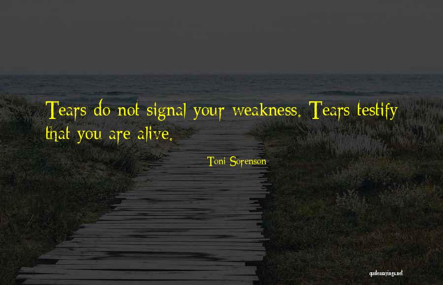 Noong Maliit Quotes By Toni Sorenson Noong Maliit Quotes By Toni Sorenson