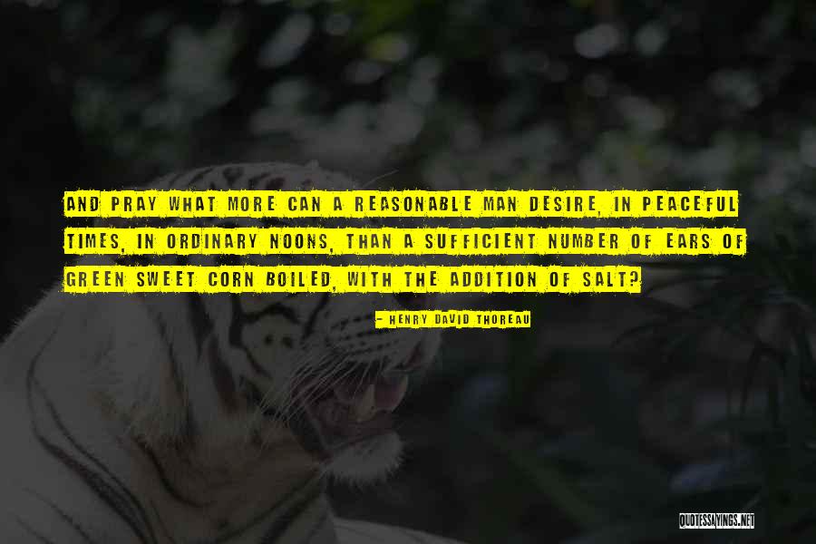 Noons Quotes By Henry David Thoreau Noons Quotes By Henry David Thoreau