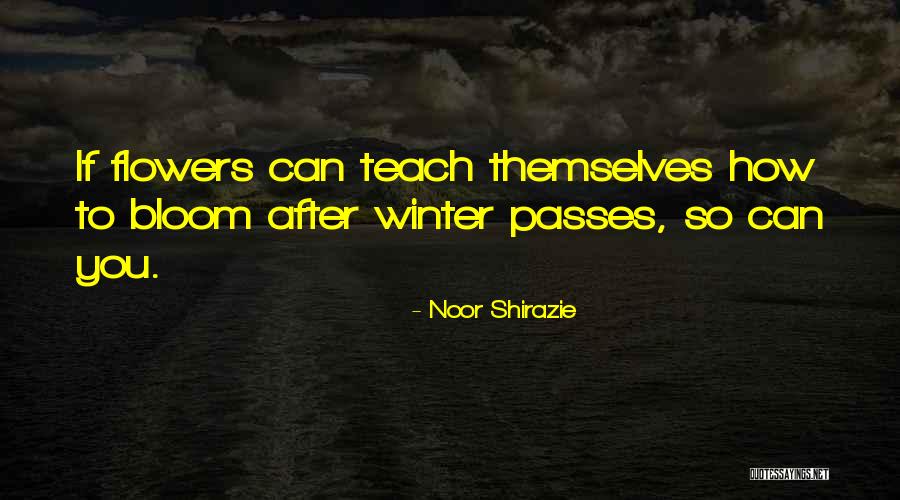 Noor Quotes By Noor Shirazie