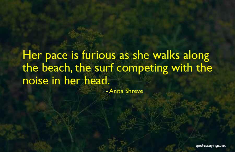 Nooruldeen Quotes By Anita Shreve Nooruldeen Quotes By Anita Shreve