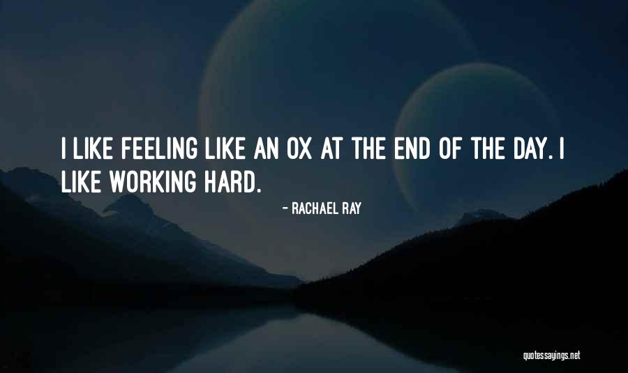 Noosfera Definici N Quotes By Rachael Ray Noosfera Definici N Quotes By Rachael Ray