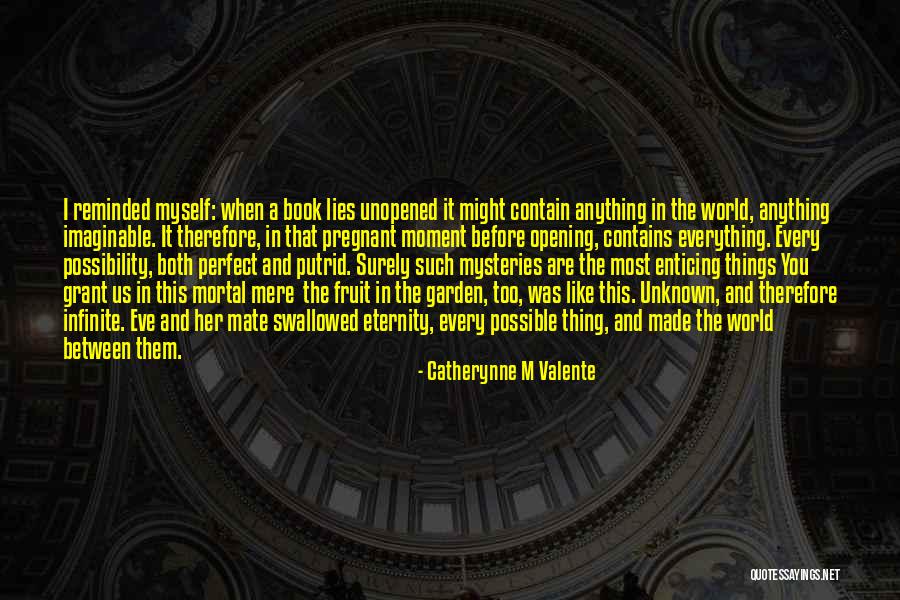 Nopadol Wireless Quotes By Catherynne M Valente Nopadol Wireless Quotes By Catherynne M Valente