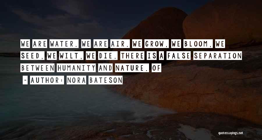 Nora Bateson Quotes 1118576